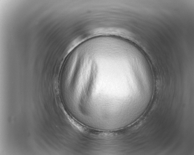 X0000080151521200612221936