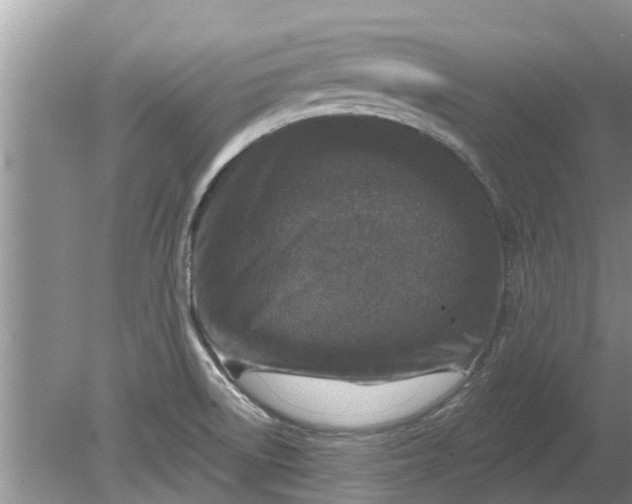 X0000080151522200612221936