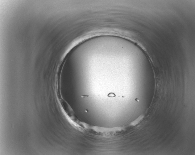 X0000080151523200612221936