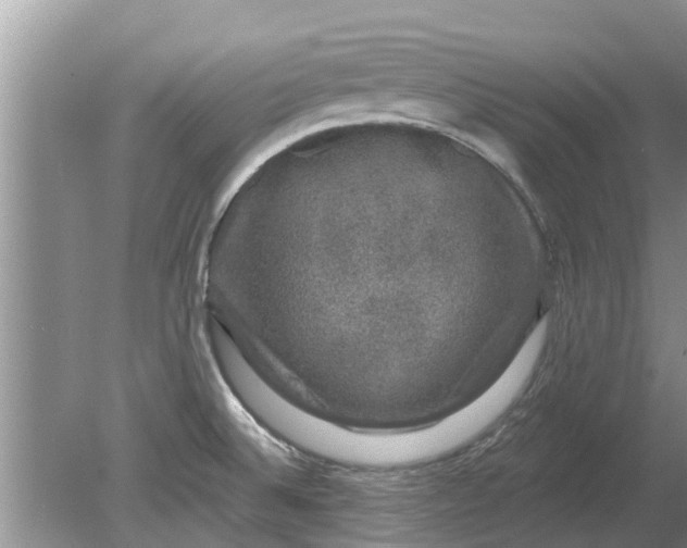 X0000080151524200612221936