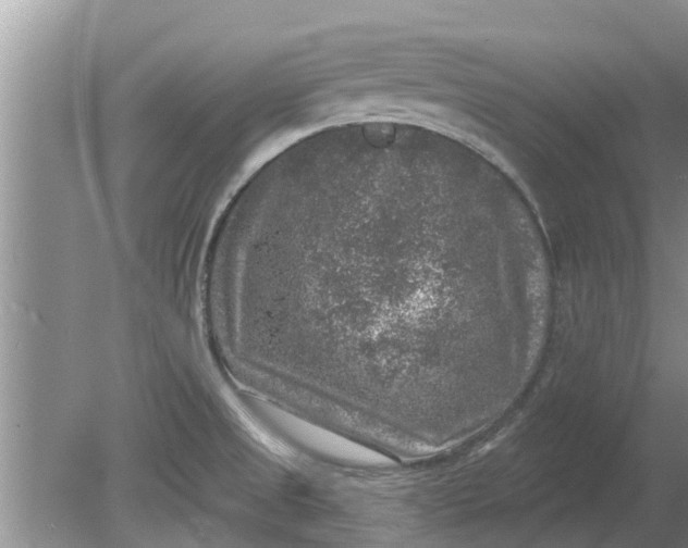 X0000080151525200612221936