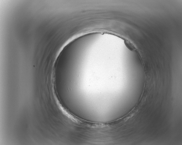 X0000080151526200612221936