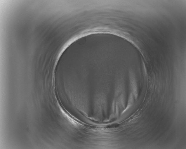 X0000080151527200612221936