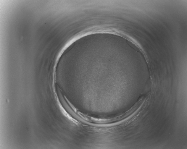 X0000080151528200612221936