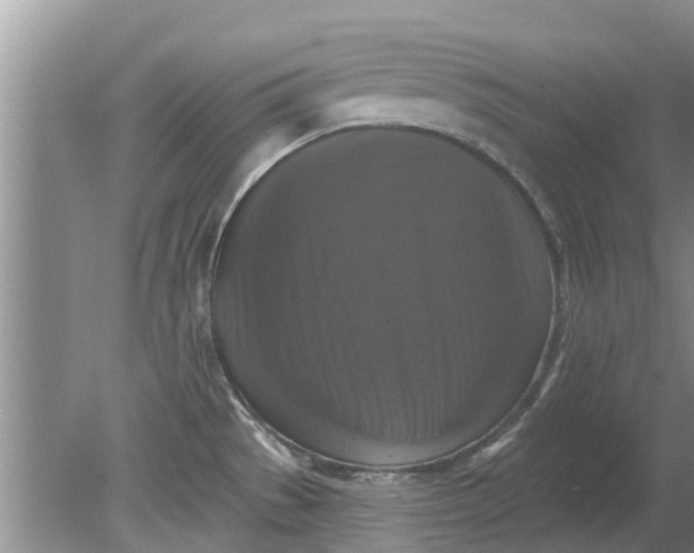 X0000080151529200612221936