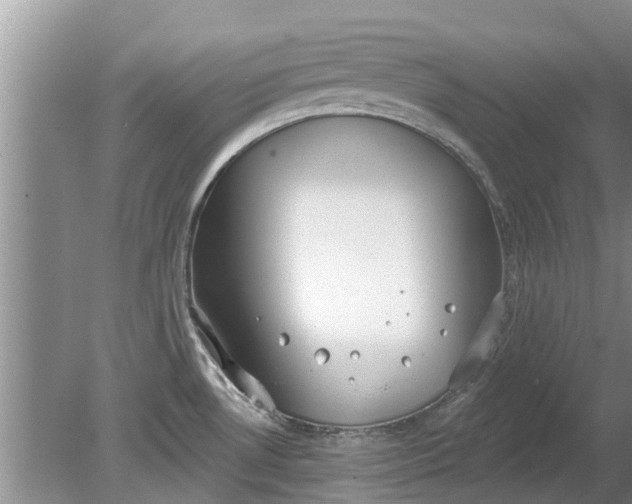 X0000080151530200612221936