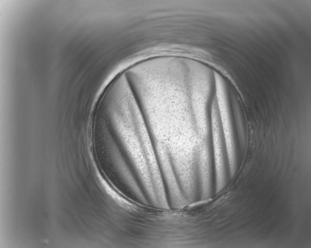 X0000080151531200612221936