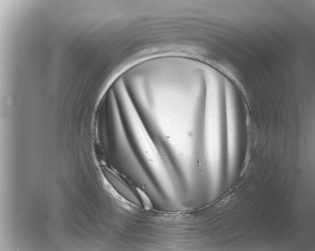 X0000080151532200612221936