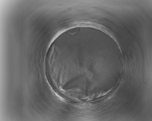 X0000080151533200612221936