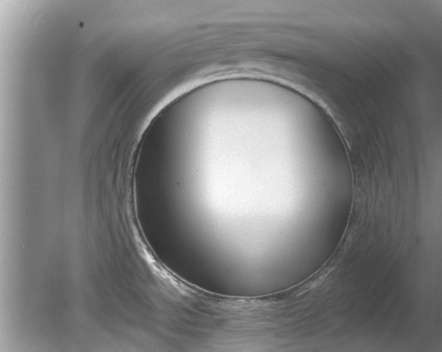 X0000080151534200612221936