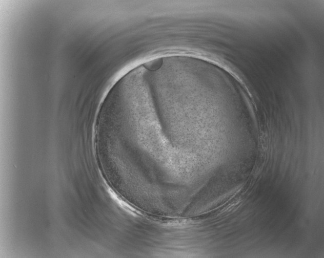 X0000080151535200612221936