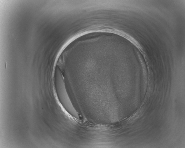 X0000080151536200612221936