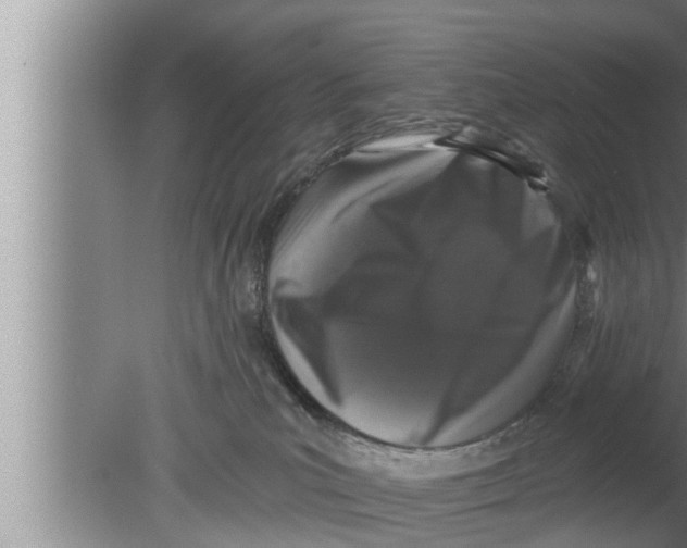 X0000080150039200612302139