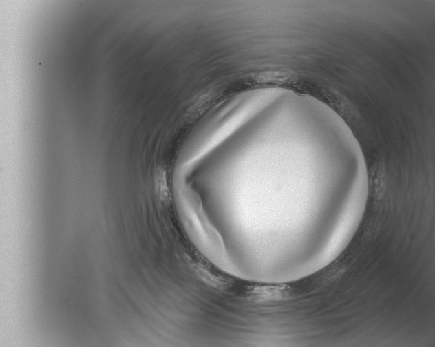 X0000080150089200612302139