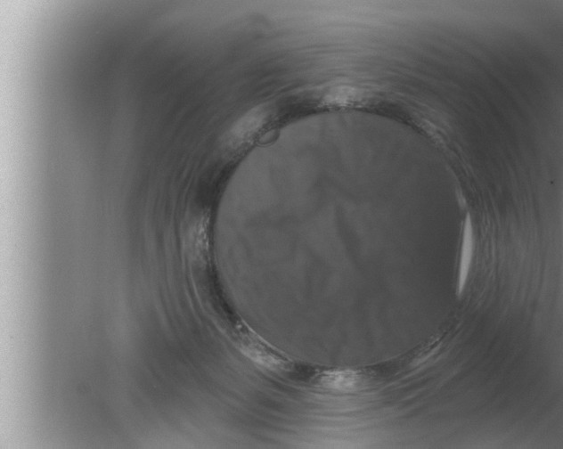 X0000080150127200612302137