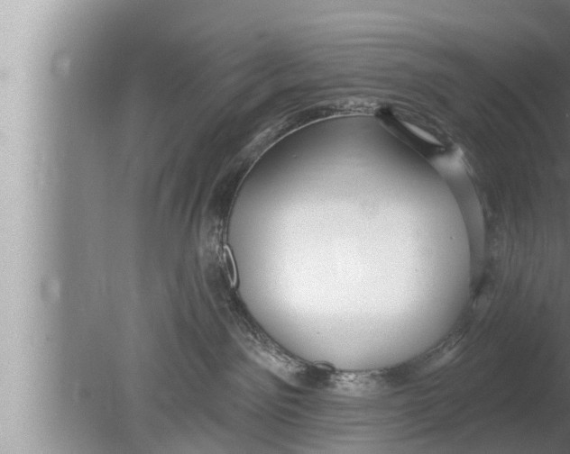 X0000080150141200612302137