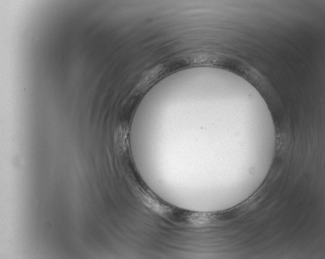 X0000080150142200612302137