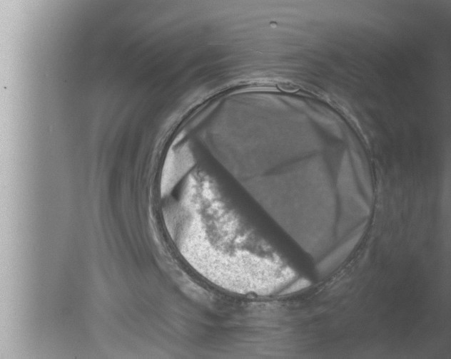 X0000080150145200612302136