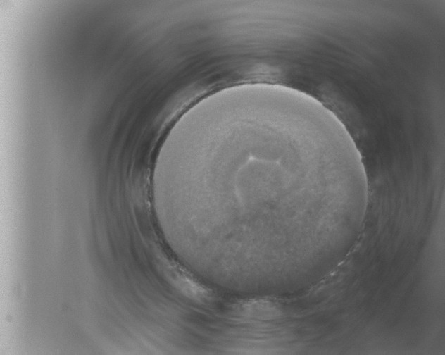 X0000080150146200612302136