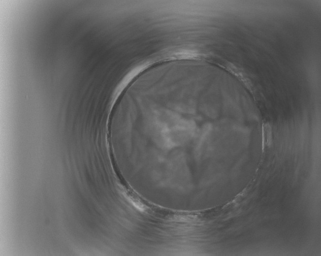 X0000080150147200612302136