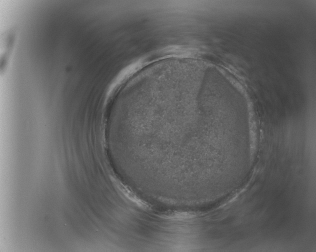 X0000080150149200612302136