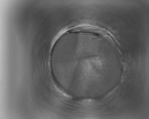 X0000080150152200612302136