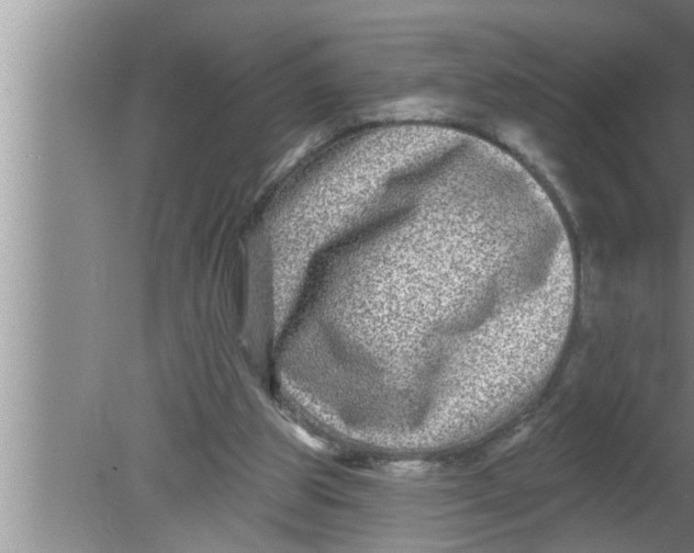 X0000080150153200612302136