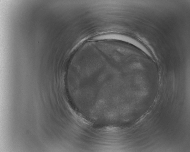 X0000080150154200612302136