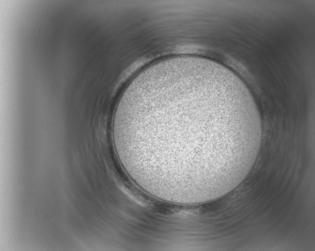 X0000080150155200612302136