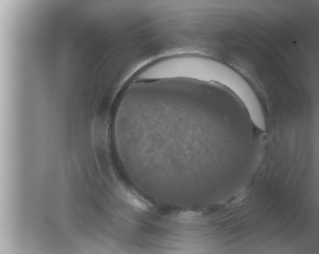 X0000080150156200612302136