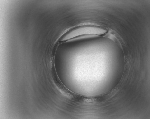 X0000080150160200612302137