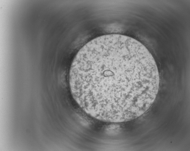 X0000080150162200612302137