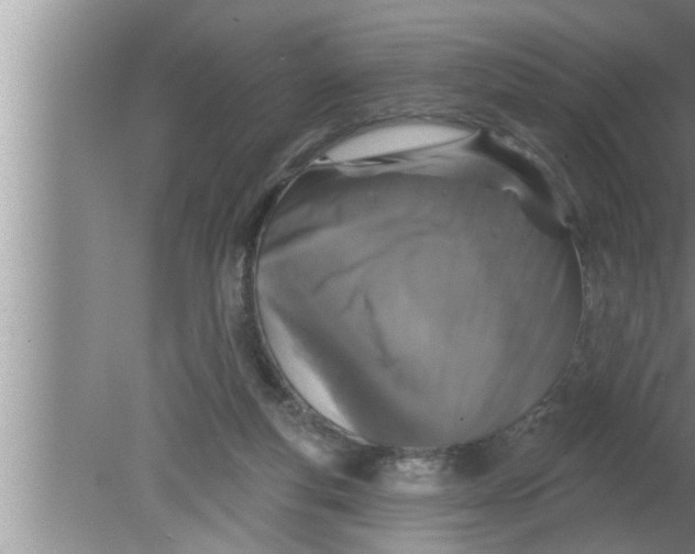 X0000080150163200612302137