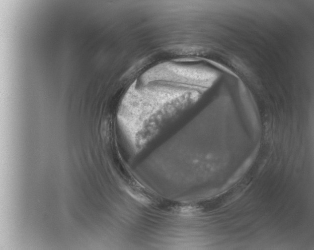 X0000080150165200612302137