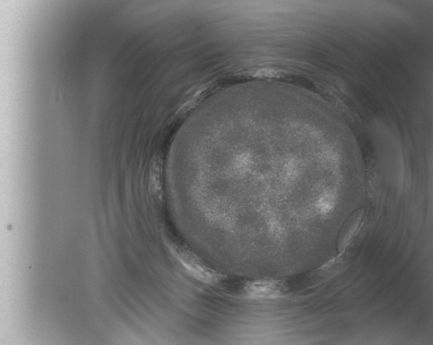 X0000080150175200612302137