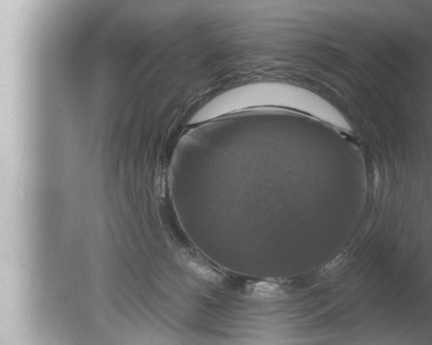 X0000080150180200612302137