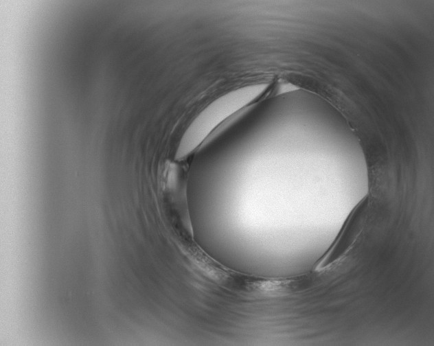 X0000080150184200612302137