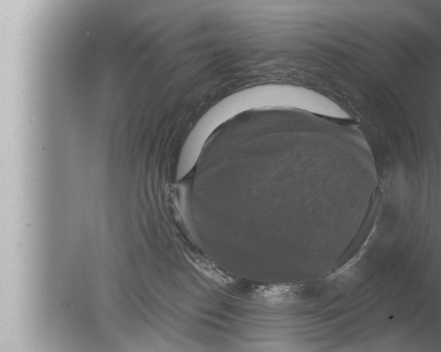 X0000080150186200612302137