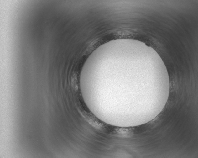 X0000080150187200612302137