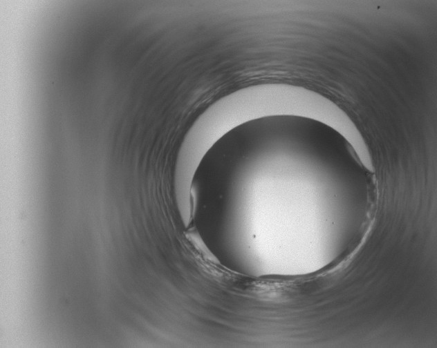 X0000080150190200612302137