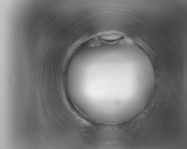 X0000080150193200612302136