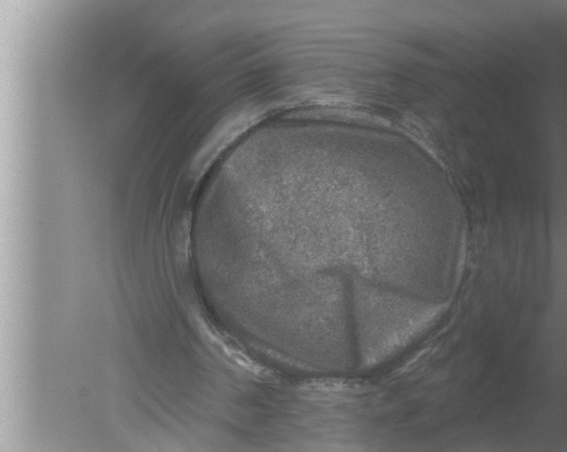 X0000080150194200612302136