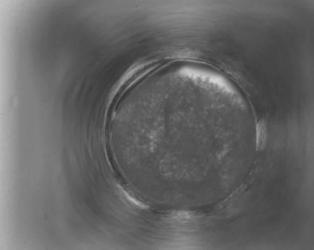 X0000080150195200612302136