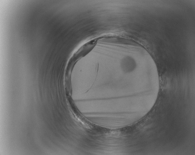 X0000080150196200612302136