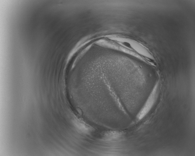 X0000080150198200612302136