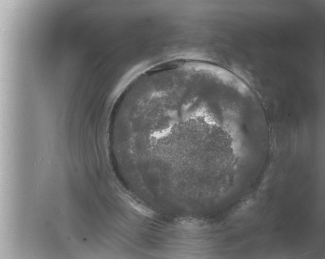 X0000080150199200612302136