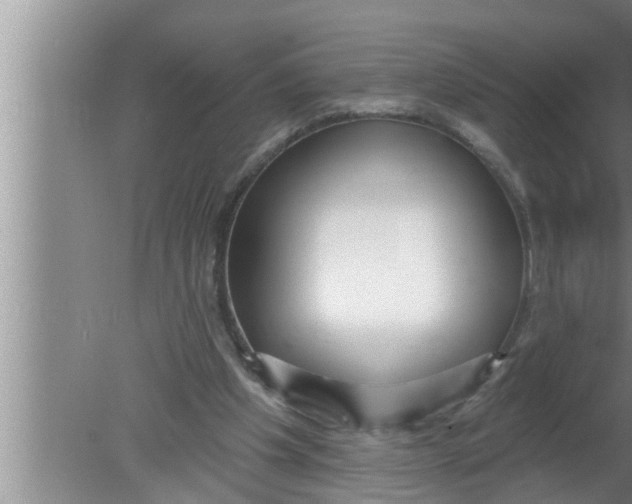 X0000080150201200612302136