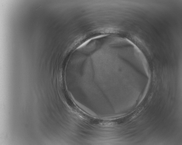 X0000080150202200612302136