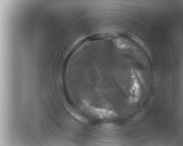 X0000080150203200612302136