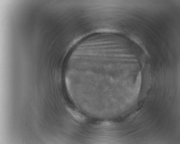 X0000080150204200612302136